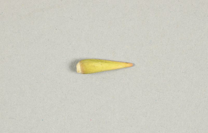751136