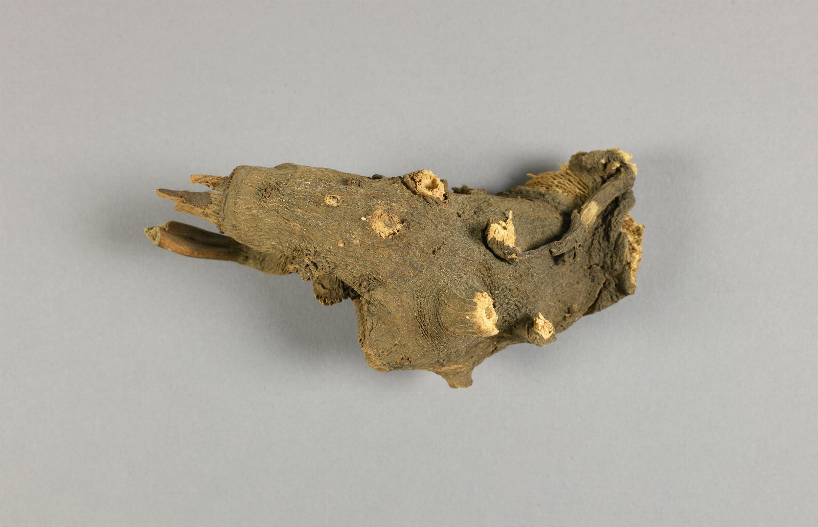 751137
