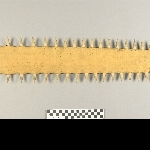 751213