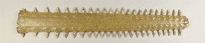 L-180-151