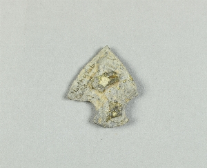 97-563-716