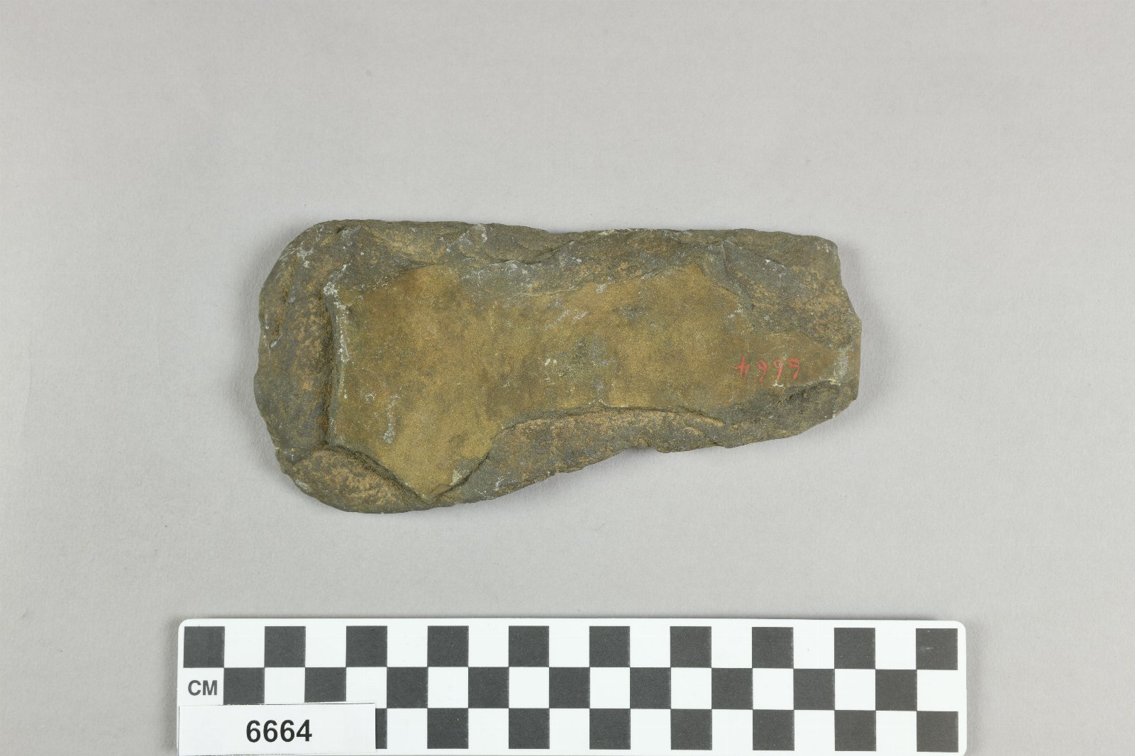 756419