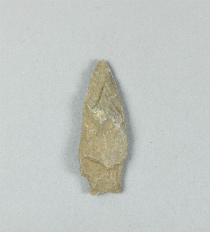 1269C