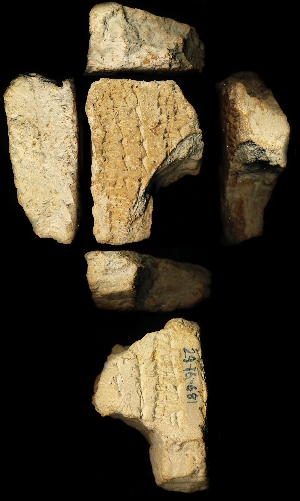 29-16-681