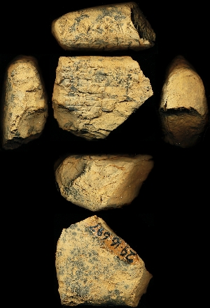 29-16-697