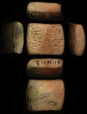 41-41-3