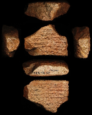 55-21-336
