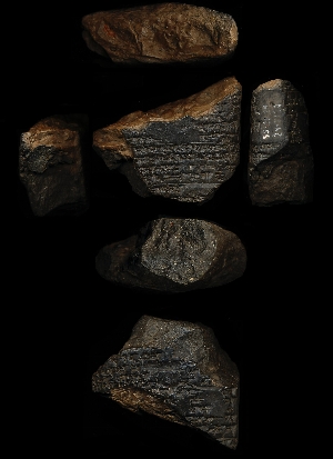 55-21-29