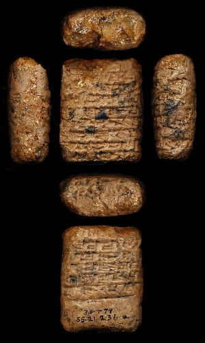 55-21-236