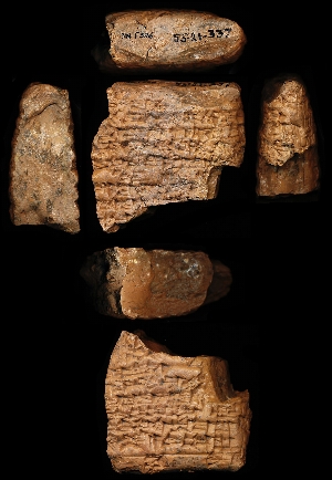 55-21-337