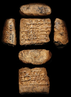 55-21-358