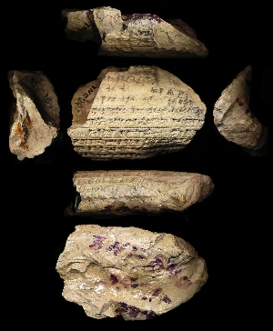 55-21-384