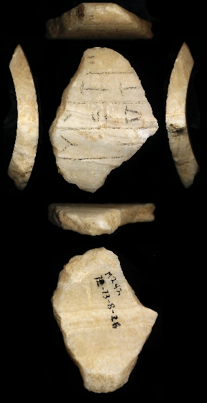 73-8-26