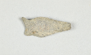 1292D