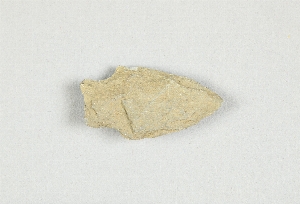 1282D