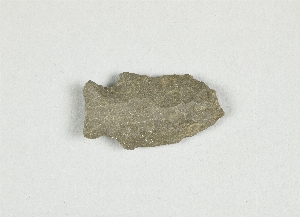 1294C