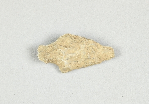 1295B