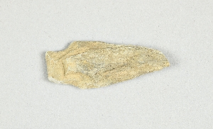 1296A