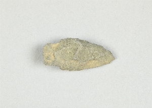 1298D