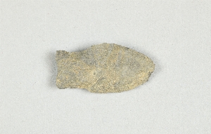 1301C