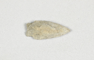 1431F