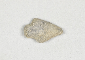 1460