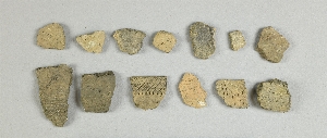 13254
