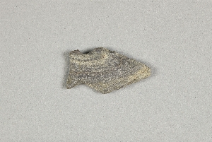 NA5103.1