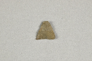 NA11798
