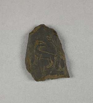NA10520