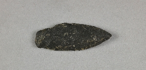 NA5113.2