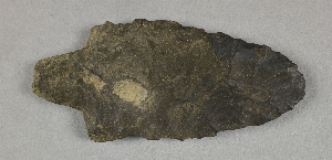 NA5113.4