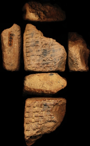 N5917