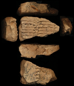 N6216
