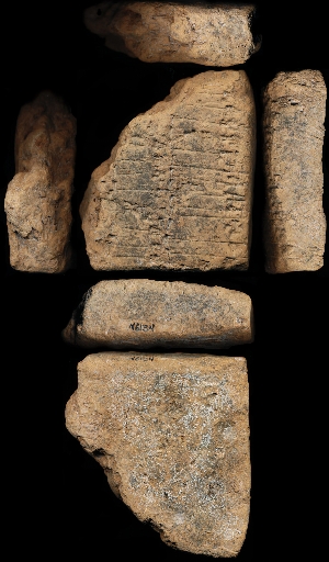 N6134
