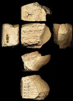 N3819