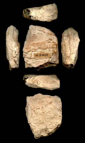 N5002