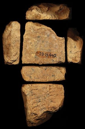 29-13-442