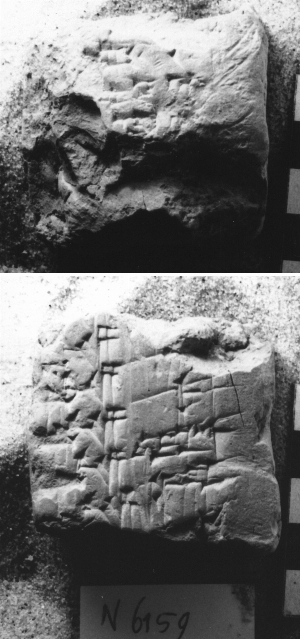 N6159