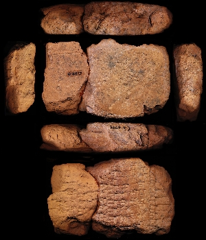 N4973