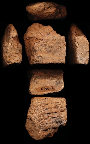 N5019