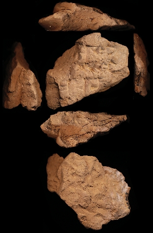 N5353