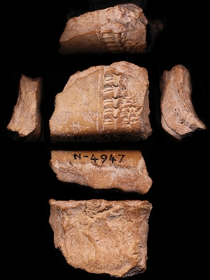 N4947