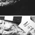766194