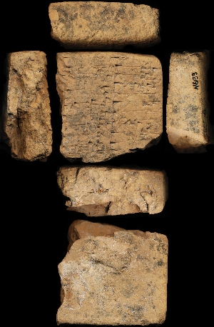 N6133