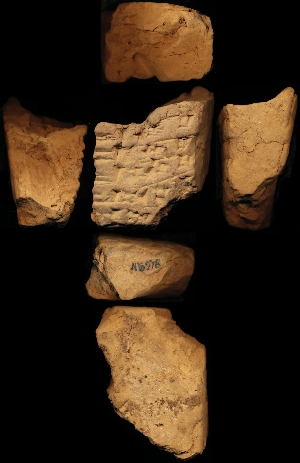 N5978