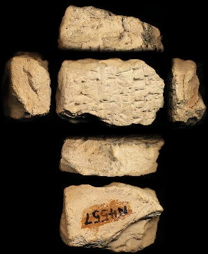 N4557