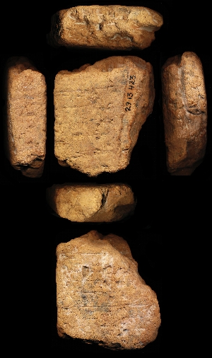 29-13-423