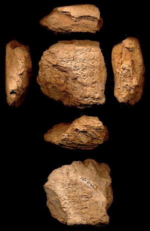 29-15-436