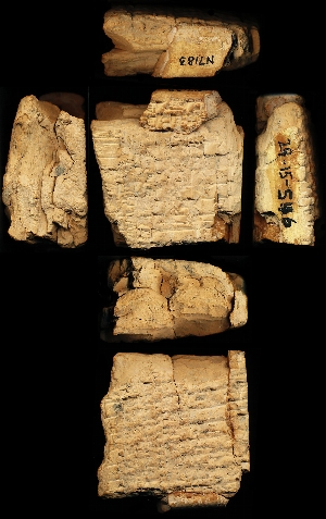 29-15-546